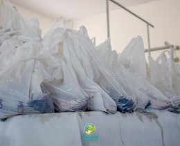 Imagem 15 do post Prefeitura de Senador Rui Palmeira distribui 8 mil kg de peixes na Semana Santa