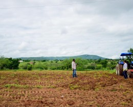Imagem 9 do post Por meio do PRODAM, Prefeitura de Senador encerra corte de terras para agricultores do município
