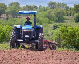 Imagem 5 do post Prefeitura de Senador Rui Palmeira distribui sementes por meio do Programa Planta Mais Alagoas
