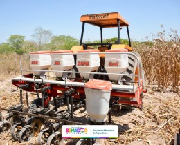Imagem 17 do post Prefeituras de Senador Rui Palmeira e Carneiros realizam o 1º Dia de Campo de Produção de Milho