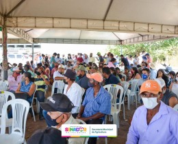 Imagem 16 do post Prefeituras de Senador Rui Palmeira e Carneiros realizam o 1º Dia de Campo de Produção de Milho