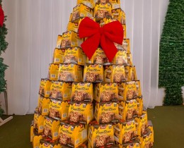 Imagem 2 do post Gestão realiza entrega de cestas básicas do Programa Alimento + Senador, especial de Natal