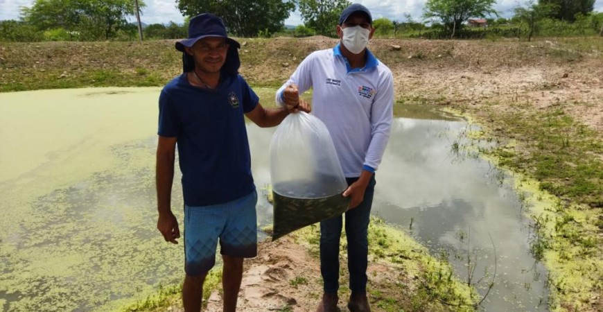 SEMAGRI e SEAGRIA realizam distribuição de alevinos para agricultores ruipalmeirenses