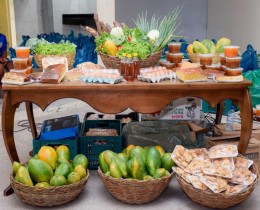 Imagem 18 do post Prefeitura de Senador Rui Palmeira realiza mais uma entrega de alimentos por meio do PAA
