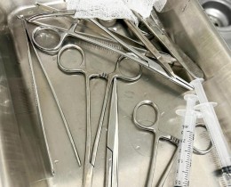 Imagem 1 do post Secretaria Municipal de Saúde realiza procedimentos de pequenas cirurgias no município